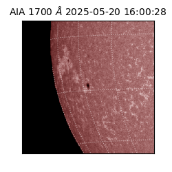 saia - 2025-05-20T16:00:28.721000