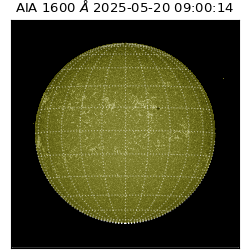 saia - 2025-05-20T09:00:14.125000