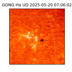 gong - 2025-05-20T07:06:02