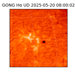 gong - 2025-05-20T08:00:02