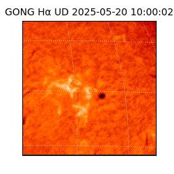 gong - 2025-05-20T10:00:02