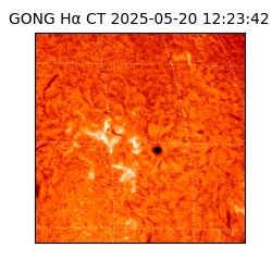 gong - 2025-05-20T12:23:42