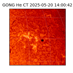 gong - 2025-05-20T14:00:42