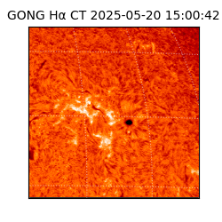 gong - 2025-05-20T15:00:42
