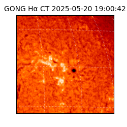 gong - 2025-05-20T19:00:42
