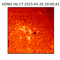 gong - 2025-05-20T20:00:42
