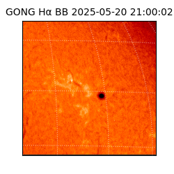 gong - 2025-05-20T21:00:02