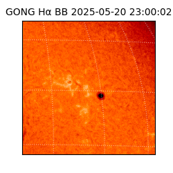 gong - 2025-05-20T23:00:02