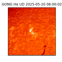 gong - 2025-05-20T06:00:02