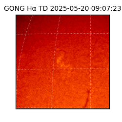 gong - 2025-05-20T09:07:23