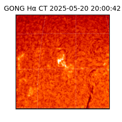 gong - 2025-05-20T20:00:42