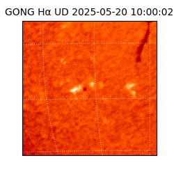 gong - 2025-05-20T10:00:02