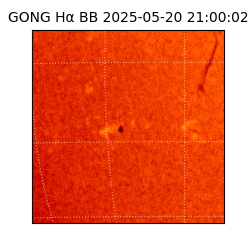 gong - 2025-05-20T21:00:02