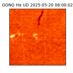 gong - 2025-05-20T08:00:02