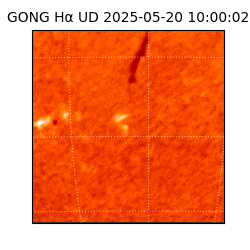 gong - 2025-05-20T10:00:02
