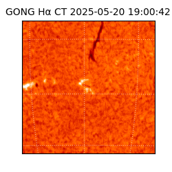 gong - 2025-05-20T19:00:42