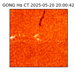 gong - 2025-05-20T20:00:42