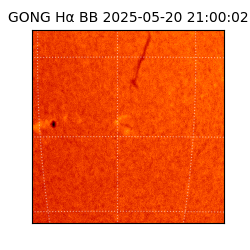 gong - 2025-05-20T21:00:02