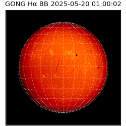 gong - 2025-05-20T01:00:02