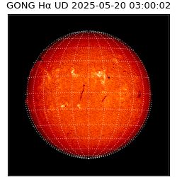 gong - 2025-05-20T03:00:02