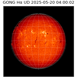 gong - 2025-05-20T04:00:02
