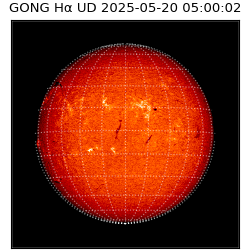 gong - 2025-05-20T05:00:02