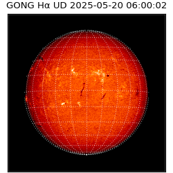 gong - 2025-05-20T06:00:02