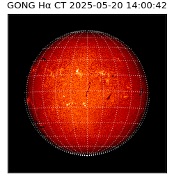 gong - 2025-05-20T14:00:42