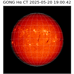gong - 2025-05-20T19:00:42