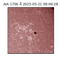 saia - 2025-05-21T09:00:28.717000