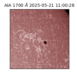 saia - 2025-05-21T11:00:28.717000