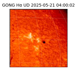 gong - 2025-05-21T04:00:02