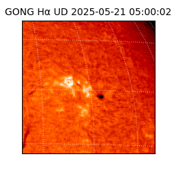 gong - 2025-05-21T05:00:02