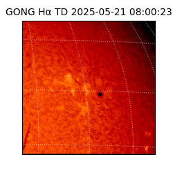 gong - 2025-05-21T08:00:23