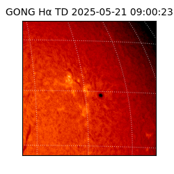gong - 2025-05-21T09:00:23