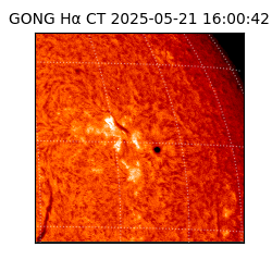 gong - 2025-05-21T16:00:42
