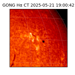 gong - 2025-05-21T19:00:42