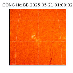 gong - 2025-05-21T01:00:02