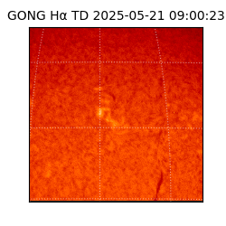 gong - 2025-05-21T09:00:23