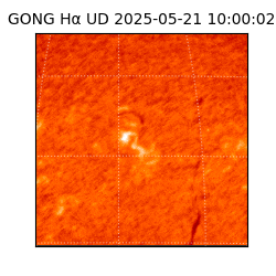 gong - 2025-05-21T10:00:02