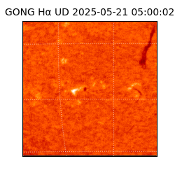 gong - 2025-05-21T05:00:02