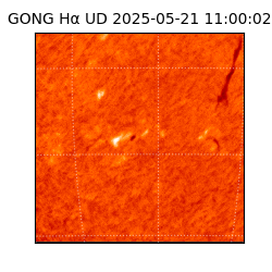 gong - 2025-05-21T11:00:02