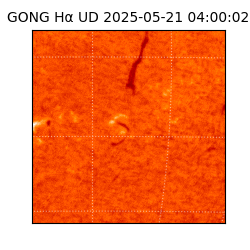 gong - 2025-05-21T04:00:02