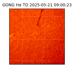 gong - 2025-05-21T09:00:23