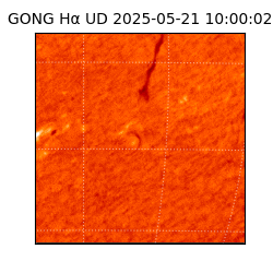 gong - 2025-05-21T10:00:02