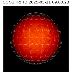 gong - 2025-05-21T09:00:23
