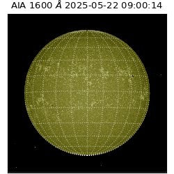 saia - 2025-05-22T09:00:14.125000