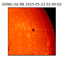 gong - 2025-05-22T01:00:02