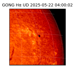 gong - 2025-05-22T04:00:02