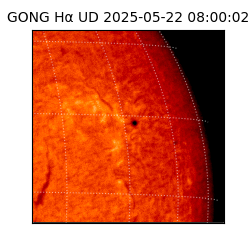 gong - 2025-05-22T08:00:02